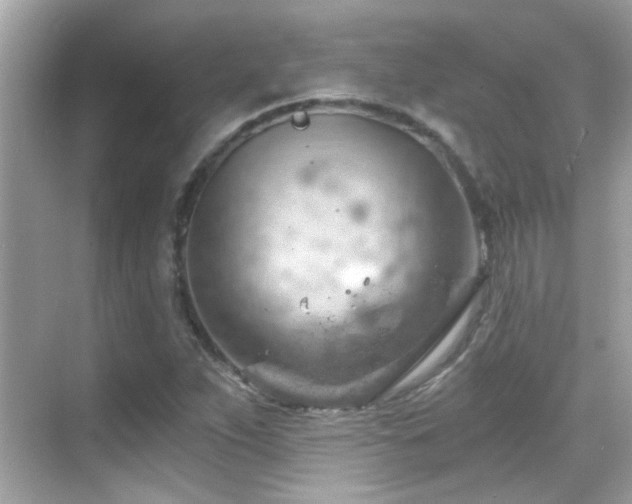 X0000068851263200605051203