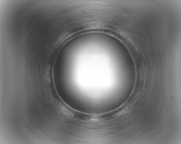 X0000068851265200605051203