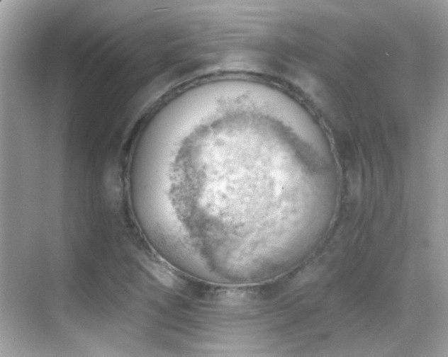 X0000068851266200605051203