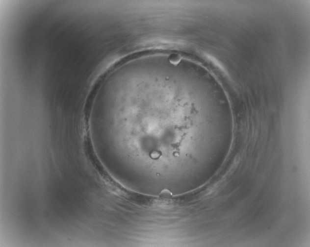 X0000068851267200605051203