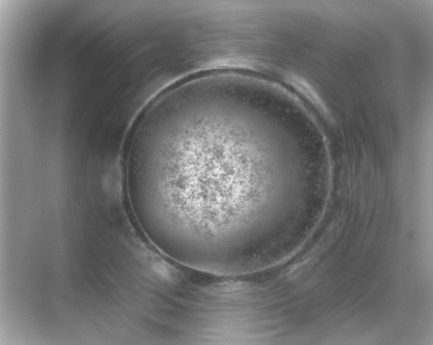 X0000068851268200605051203