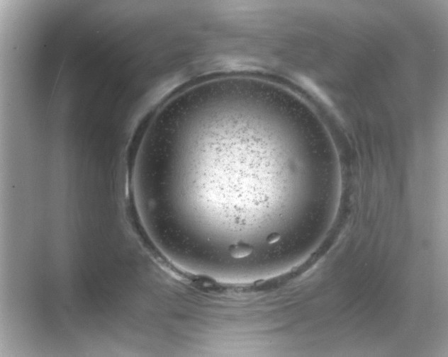 X0000068851269200605051203