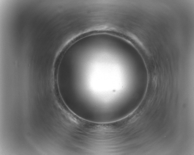 X0000068851270200605051203