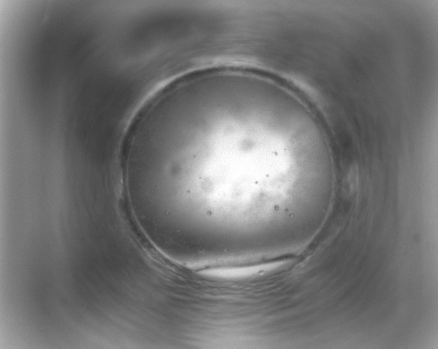 X0000068851271200605051203