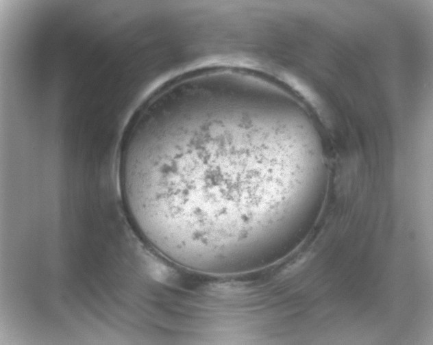 X0000068851272200605051203