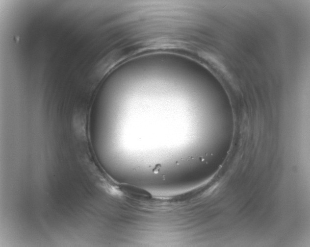 X0000068851273200605051203