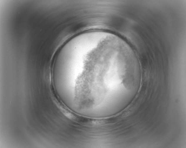 X0000068851274200605051203