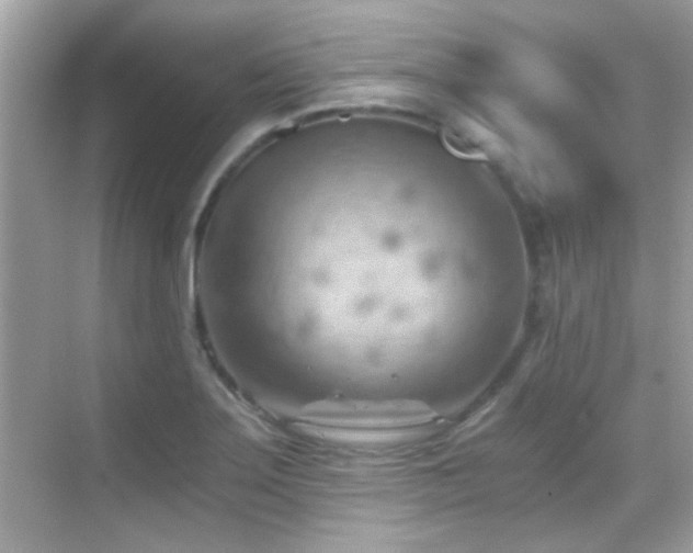 X0000068851275200605051203