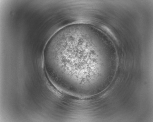 X0000068851276200605051203