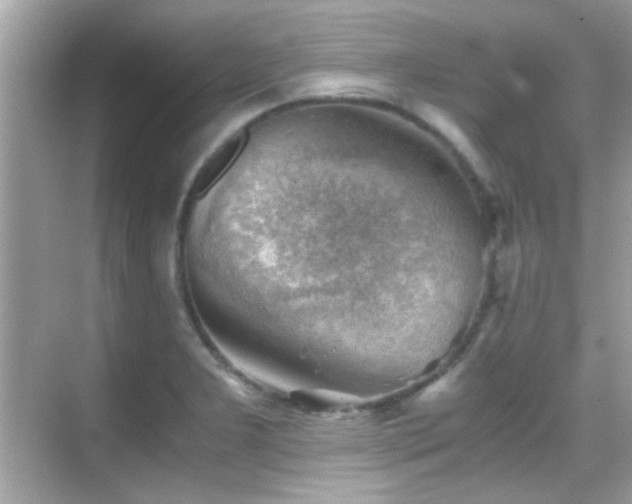 X0000068851277200605051203