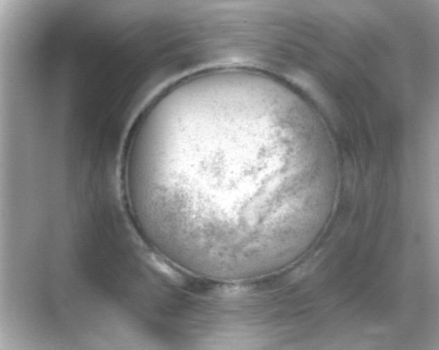 X0000068851278200605051203