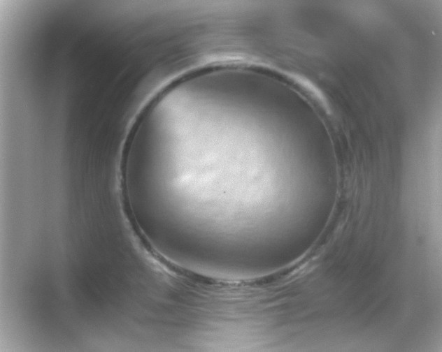 X0000068851279200605051203