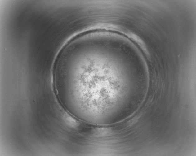 X0000068851280200605051203