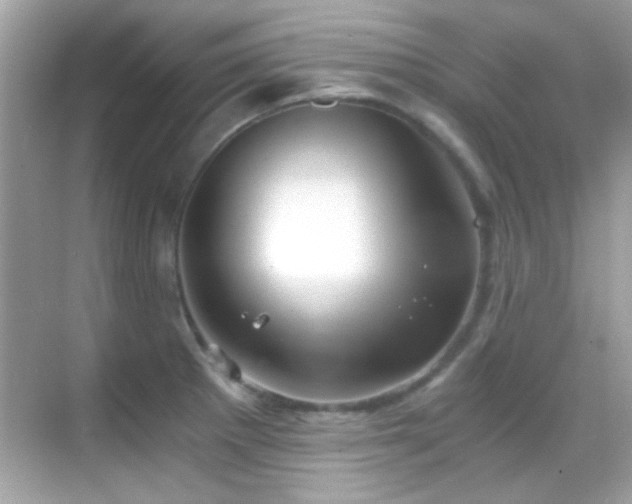 X0000068851281200605051203