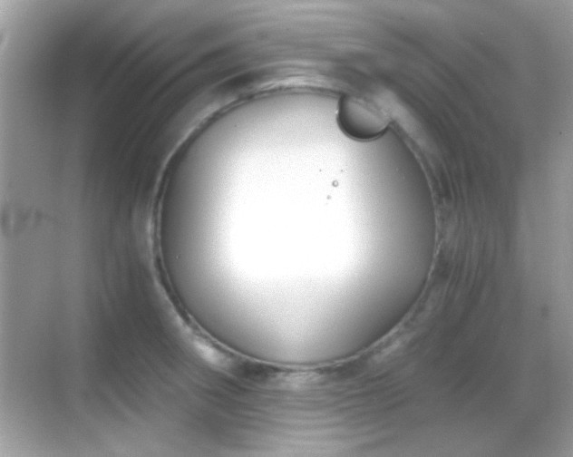 X0000068851282200605051203