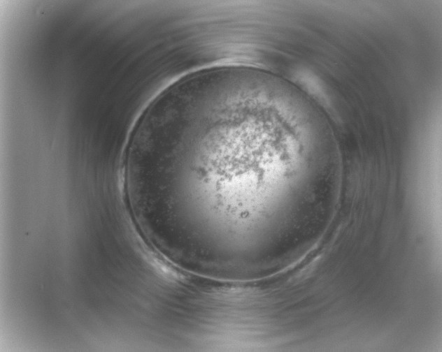 X0000068851284200605051203