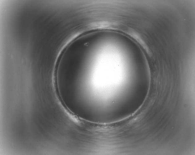 X0000068851285200605051203