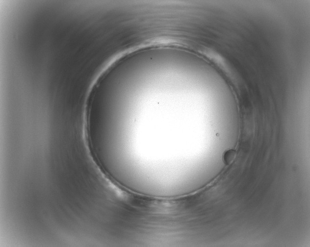 X0000068851286200605051203