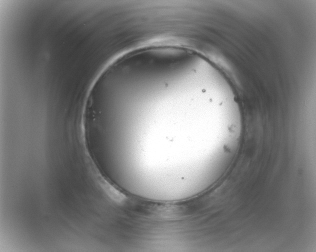 X0000068851288200605051203