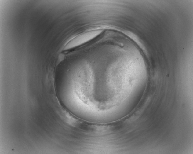 X0000068851289200605051203