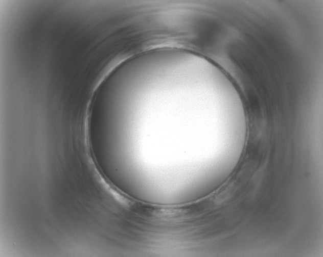 X0000068851290200605051203