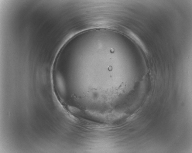 X0000068851291200605051203