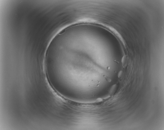 X0000068851295200605051203