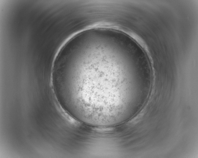 X0000068851296200605051203