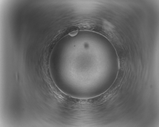 X0000068851297200605051202