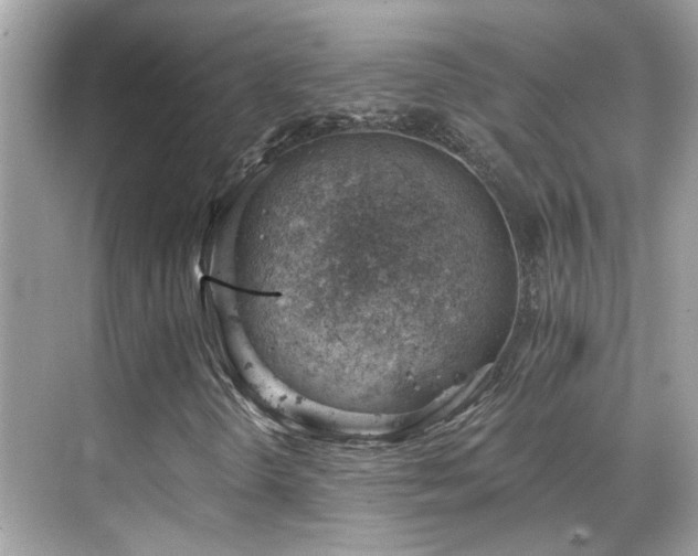 X0000068851298200605051202