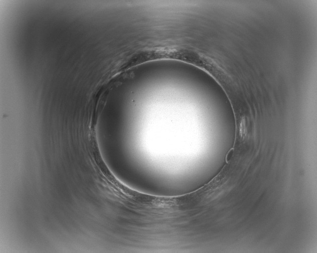 X0000068851299200605051202