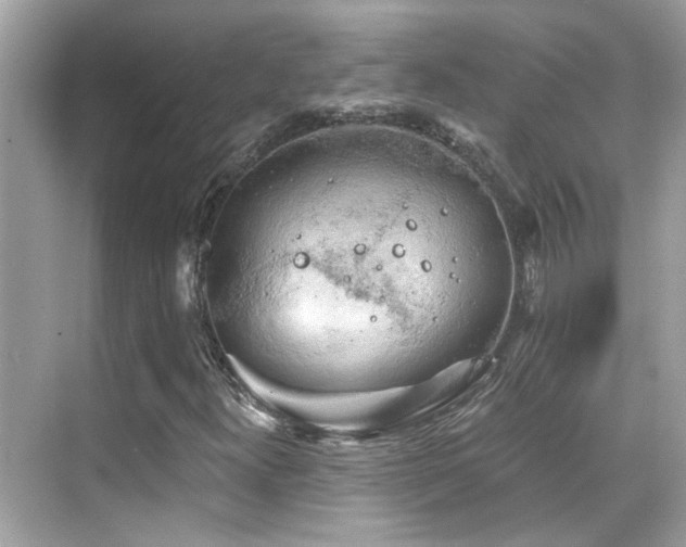 X0000068851300200605051202