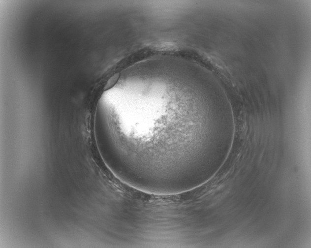 X0000068851301200605051202