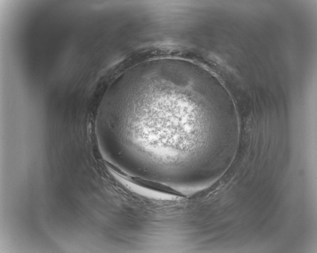 X0000068851302200605051202