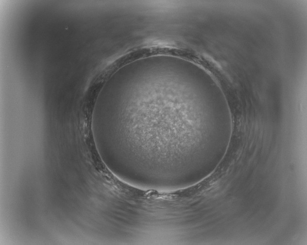 X0000068851303200605051202