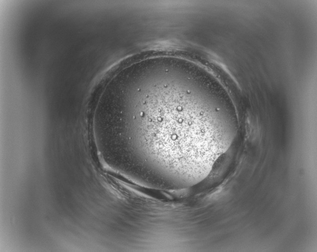 X0000068851304200605051202