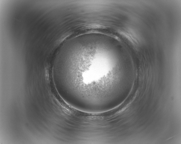 X0000068851305200605051202