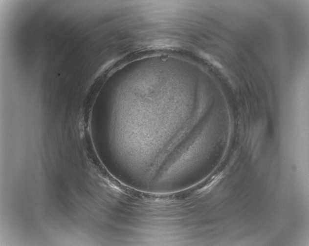 X0000068851306200605051202