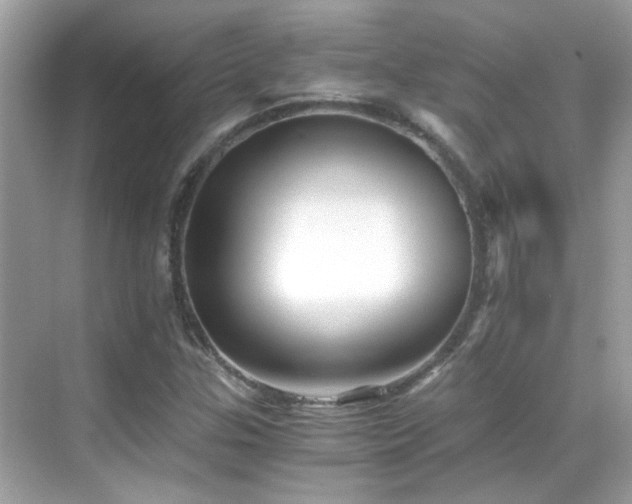 X0000068851307200605051202