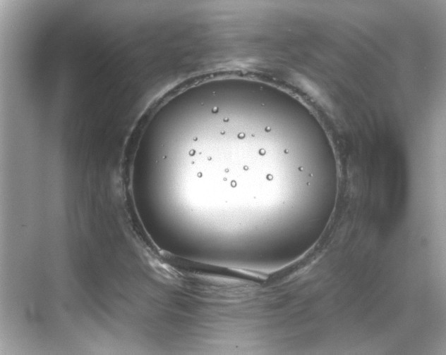 X0000068851308200605051202