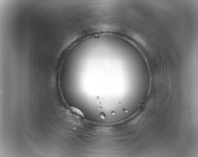 X0000068851309200605051202