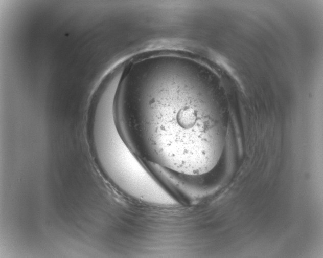 X0000068851312200605051202