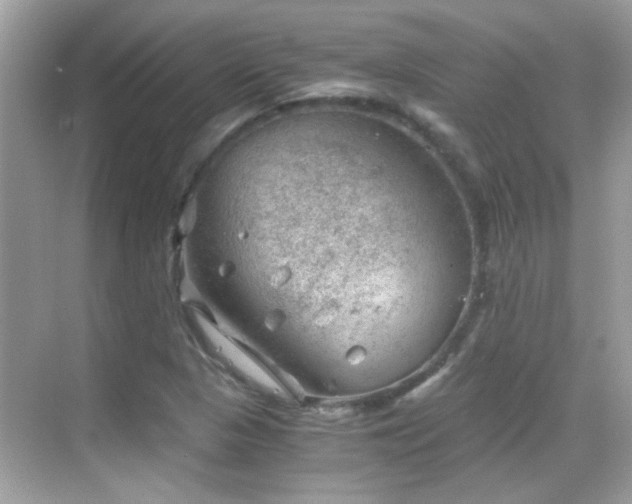 X0000068851313200605051202