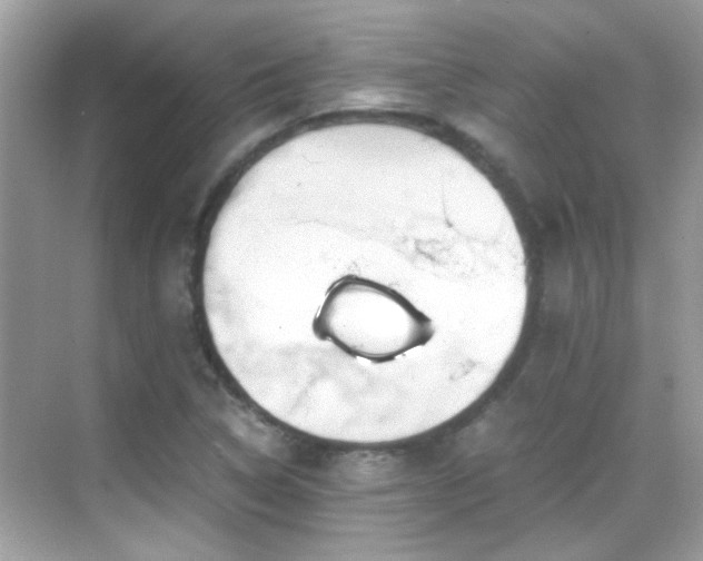 X0000068851314200605051202