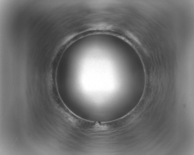 X0000068851315200605051202