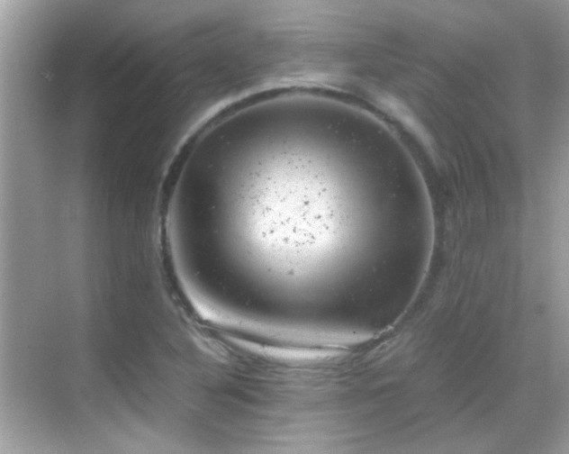 X0000068851316200605051202