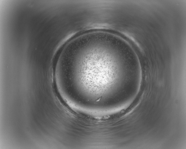 X0000068851317200605051202