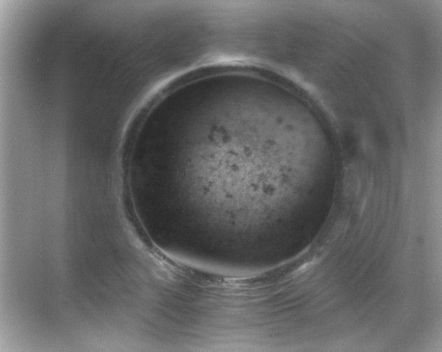 X0000068851319200605051202