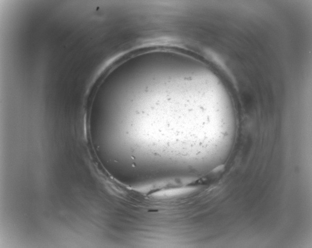 X0000068851320200605051202