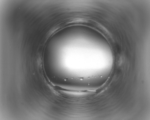 X0000068851321200605051202